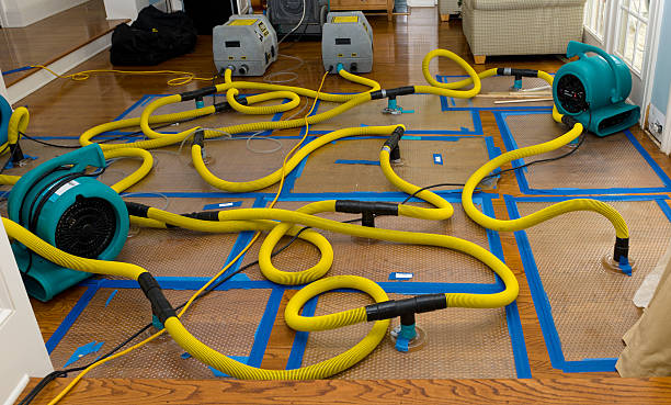 Professional Water Damage Repair technician working in Waddy, KY