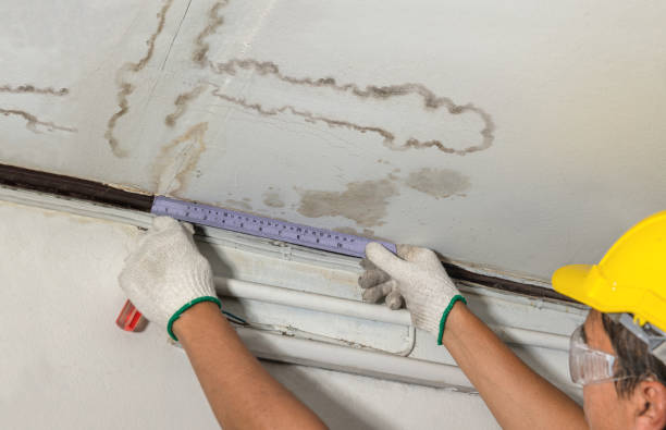 Affordable Water Damage Repair solutions in Waddy, KY